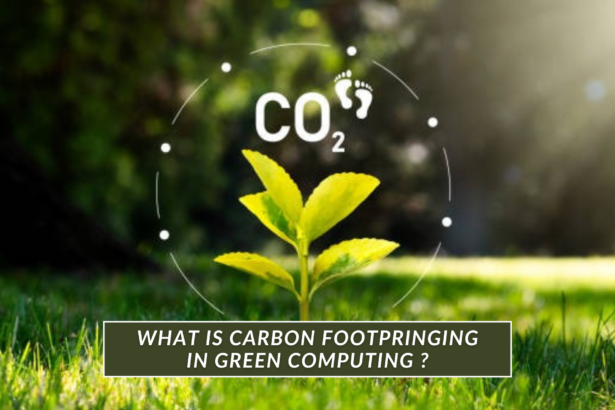 What is carbon footprinting in green computing